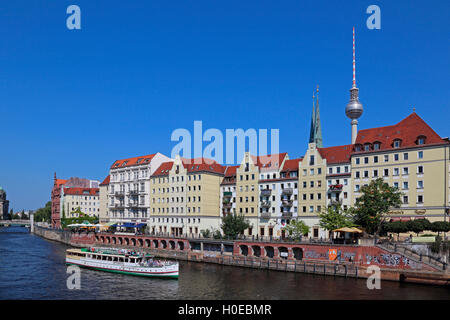 Fernsehturm Berlin Mitte Nicolai Viertel Stockfoto