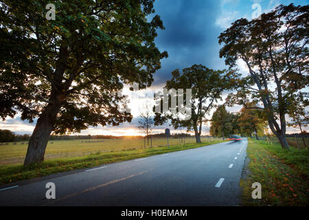 Gasse im Herbst Stockfoto