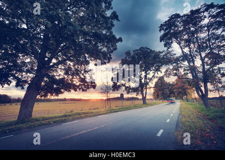 Gasse im Herbst Stockfoto