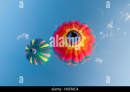 Heißluftballons über Ann Morrison Park in den "Geist von Boise Balloon Classic" im September 2016 Stockfoto