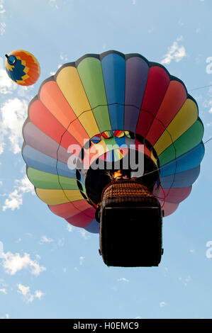 Heißluftballons über Ann Morrison Park in den "Geist von Boise Balloon Classic" im September 2016 Stockfoto