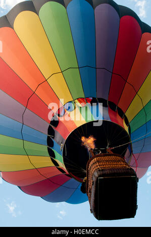 Heißluft-Ballon startet in Ann Morrison Park in den "Geist von Boise Balloon Classic" im September 2016 Stockfoto