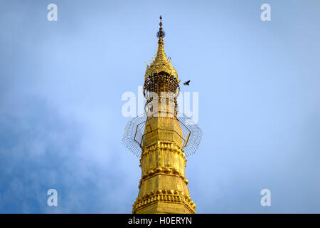 Vergoldete Turmspitze Sule Pagode, Yangon, Myanmar. Stockfoto