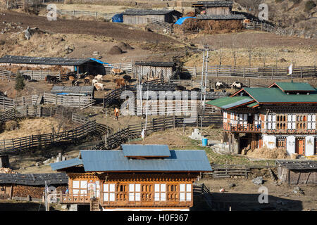 Bauernhöfe und Bauernhäuser im Phobjikha Tal, Wangdue, westliche Bhutan Stockfoto