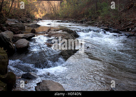 Blackwater Creek in Hollins Mill Park, Lynchburg, Virginia, USA Stockfoto