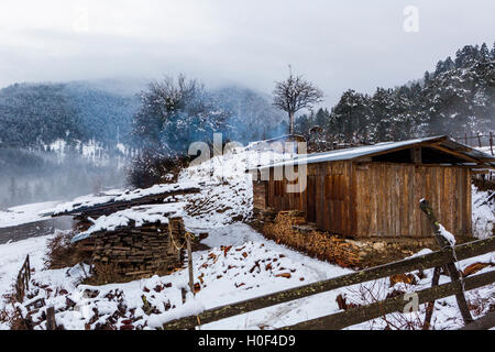 Ackerland im Himalaya, Schnee gebunden Haa Tal, Bhutan Stockfoto