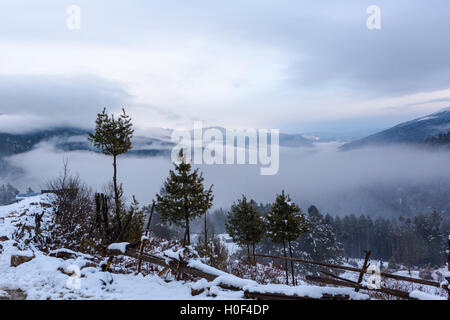 Ackerland im Himalaya, Schnee gebunden Haa Tal, Bhutan Stockfoto