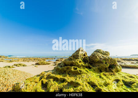 Nai Harn Beach, Rawai, Phuket, Thailand. Stockfoto