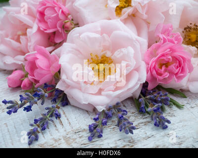 Großen blass rosa und kleine leuchtend rosa Rosen und Lavendel Bouquet auf weißen gemalten Hintergrund Stockfoto