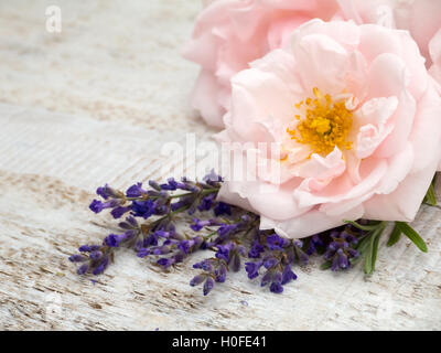 Blass rosa Rosen und Lavendel Provence auf dem hölzernen rustikalen Hintergrund Stockfoto