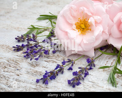 Blass rosa Rosen und Lavendel Provence Bouquet auf dem hölzernen rustikalen Hintergrund Stockfoto