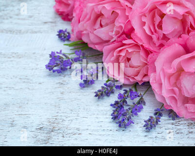 Leuchtend rosa Rosen und Lavendel Strauß auf das weiß lackiert rustikalen Hintergrund Stockfoto