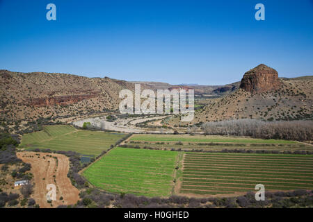 Bauernhof in der Karoo Stockfoto