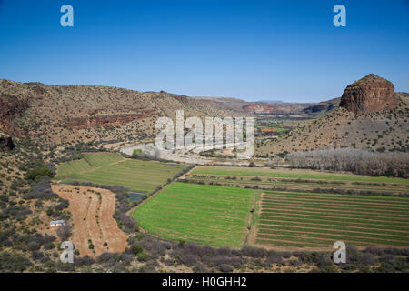 Bauernhof in der Karoo Stockfoto