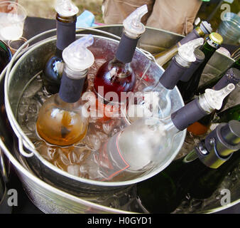 Eine Sammlung von Weinflaschen in einem Eiskübel zu einem Outdoor Event chillen. Ev Stockfoto