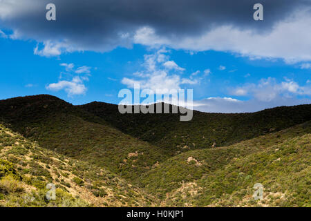 Stürmisches Wetter über den Wüsten von den Superstition Mountains am Wegesrand Reavis Ranch. Aberglauben Wildnis, Arizona Stockfoto