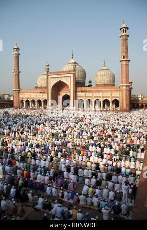Eid al Adha Festival, Muslime beten in Jama Masjid, Masjid i Jehan Numa, Neu-Delhi, Indien, Asien Stockfoto