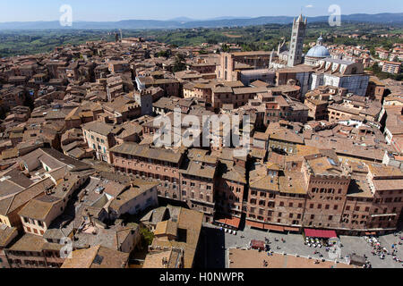 Blick auf Dächer im historischen Zentrum von Torre del Mangia, Siena, Provinz Siena, Toskana, Italien Stockfoto