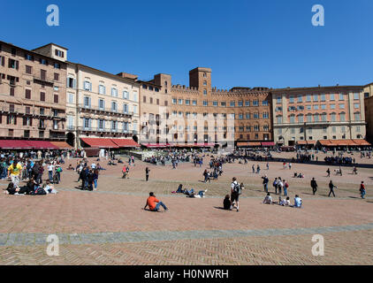 Piazza del Campo, Siena, Provinz Siena, Toskana, Italien Stockfoto