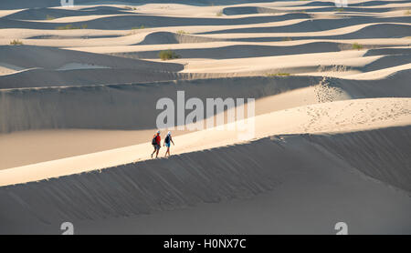 Zwei Menschen zu Fuß auf Sanddünen, Mesquite flachen Sand Dünen, Death Valley, Death Valley National Park, Kalifornien, USA Stockfoto