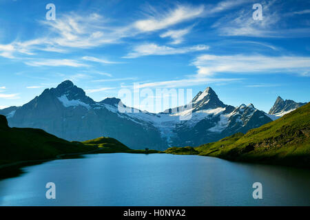 Bachalpsee See, Wetterhorn, Schreckhorn, Finsteraarhorn und Erste, Grindelwald, Kanton Bern, Schweiz Stockfoto