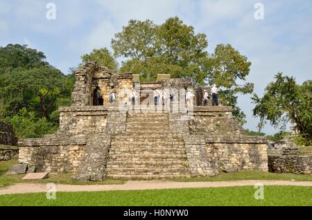 Touristische Gruppe auf Templo XIV, Maya Ruinen von Palenque, Chiapas, Mexiko Stockfoto