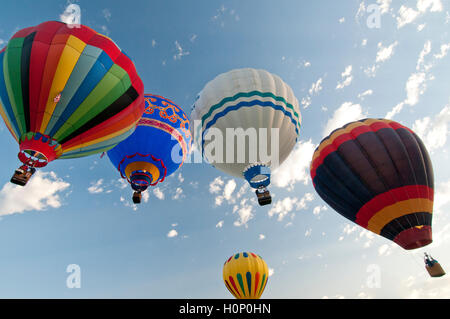 Heißluftballons über Ann Morrison Park in den "Geist von Boise Balloon Classic" im September 2016 Stockfoto