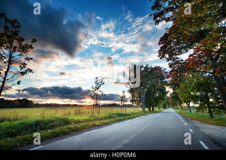 Gasse im Herbst Stockfoto