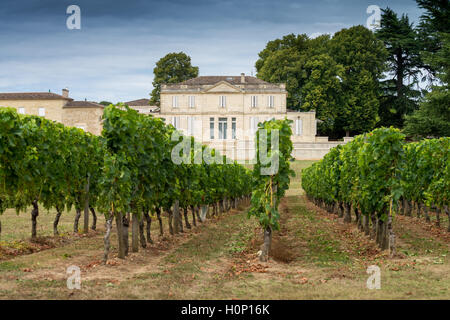 Château Haut Piquat, Lussac, Bordeaux, Frankreich, EU, Europa Stockfoto