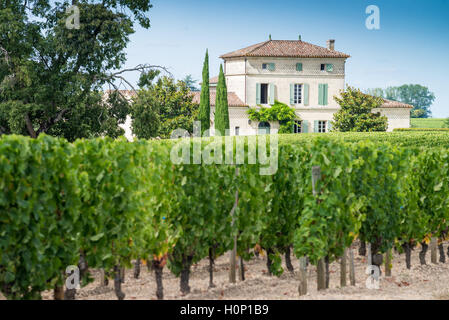 Château Lafleur-Petrus, Pomerol, Frankreich, EU, Europa Stockfoto