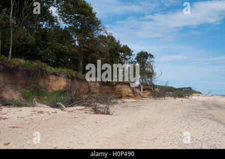 Küstenerosion bei Covehithe in Suffolk Stockfoto