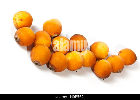 Studioaufnahme Nahaufnahme von Sammlung von natürlichen Reife orange Palm Termine auf weißem Hintergrund Stockfoto
