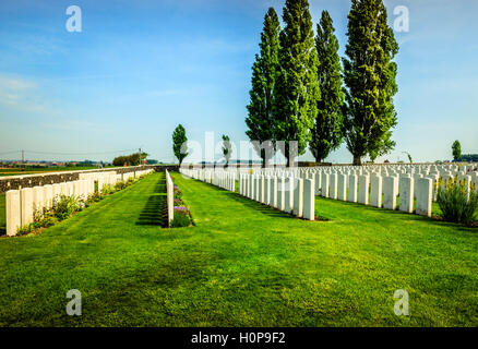 Reihen von Grabsteinen in Flanderns Feldern Belgiens. Auf diesem Friedhof bestattet sind Opfer des ersten Weltkrieges. Stockfoto