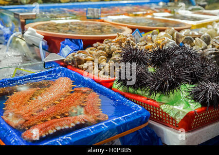 Seegurken, Seeigel und andere Meeresfrüchte auf dem Noryangjin Fischerei Großmarkt in Seoul, Südkorea verkauft werden. Stockfoto