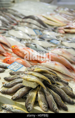 Verschiedene Arten von Fisch verkauft auf dem Noryangjin Fischerei Großhandelsmarkt (oder Noryangjin Fischmarkt) in Seoul, Südkorea Stockfoto