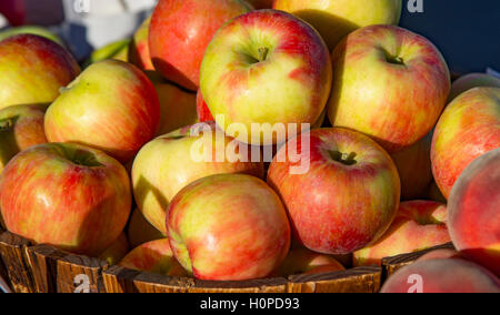 Boise Bauernmarkt, frisch gepflückt Äpfel zu verkaufen, Downtown Boise, Idaho Stockfoto