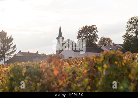 Dorfkirche, Aloxe-Corton, Côte de Beaune, Burgund, Frankreich Stockfoto