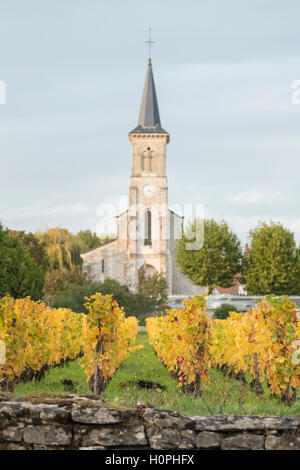 Dorfkirche, Aloxe-Corton, Côte de Beaune, Burgund, Frankreich Stockfoto