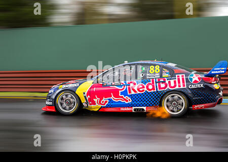 MELBOURNE, AUSTRALIEN – 18. SEPTEMBER 2016. Red Bull Racing Fahrer JAMIE WHINCUP (88) während der Rennen 20, Sandown 500 für die Superca Stockfoto