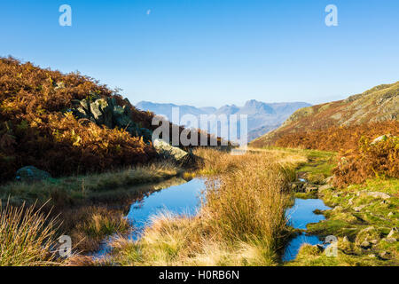 Von Loughrigg fiel in den Lake District National Park gesehen Langdale Pikes. Cumbria. England. Stockfoto