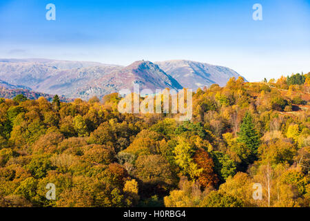 Herbstliche Wald im Lake District National Park mit Helm Crag und Sitz Sandale darüber hinaus. Cumbria, England. Stockfoto