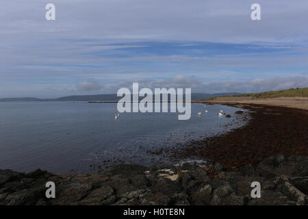 Strand Drumadoon Bay in der Nähe von Blackwaterfoot Isle of Arran Schottland September 2016 Stockfoto