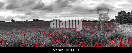 Dies ist ein Bild von einem WW1 Soldaten zu Fuß durch ein Feld von Mohn, die Soldaten zu gedenken, die im Krieg gestorben sind Stockfoto