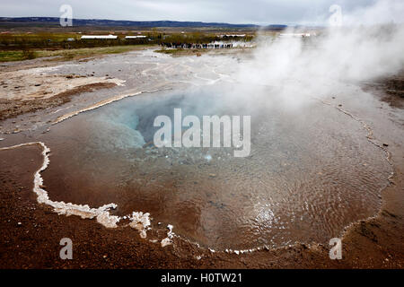 Dampf steigt aus den großen Geysir Geysir Island Stockfoto