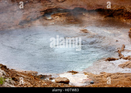 kochendes Wasser und Dampf steigt in einen heißen Quellen Geysir Geysir Island Stockfoto