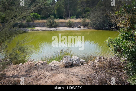 Cala Mondrago Naturpark Park Fluss an einem sonnigen Tag im September in Cala Mondrago, Mallorca, Spanien. Stockfoto