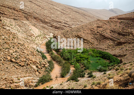 Dades Schlucht, Marokko.  Schlammiges Wasser in Dades Schlucht ergibt sich aus Regen in der Ferne. Stockfoto