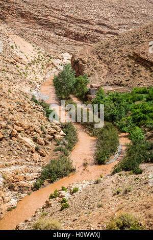 Dades Schlucht, Marokko.  Schlammiges Wasser in Dades Schlucht ergibt sich aus Regen in der Ferne. Stockfoto