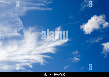 Schönen blauen Himmel mit Wolkenfetzen, Sommerhimmel. Schöne Wolken, Watte Wolken. Verträumt, Stockfoto