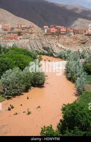 Dades Schlucht, Marokko.  Schlammiges Wasser in der Schlucht von Starkregen im vorgelagerten Bereich. Stockfoto